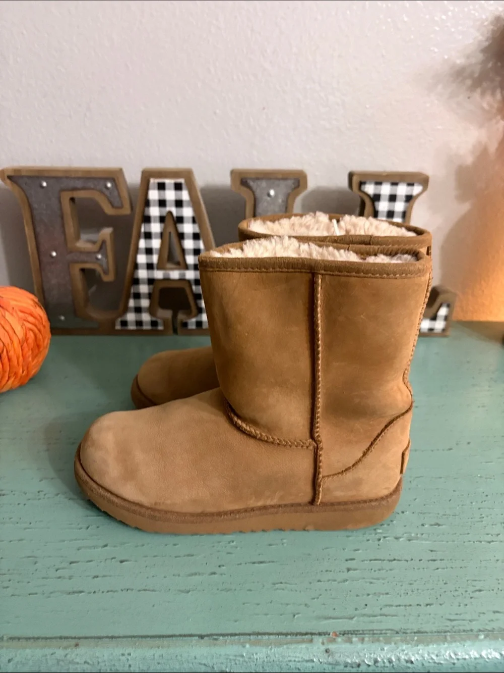 UGG cozy sheepskin